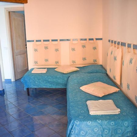 Tiffany Palau Bed & Breakfast Dış mekan fotoğraf