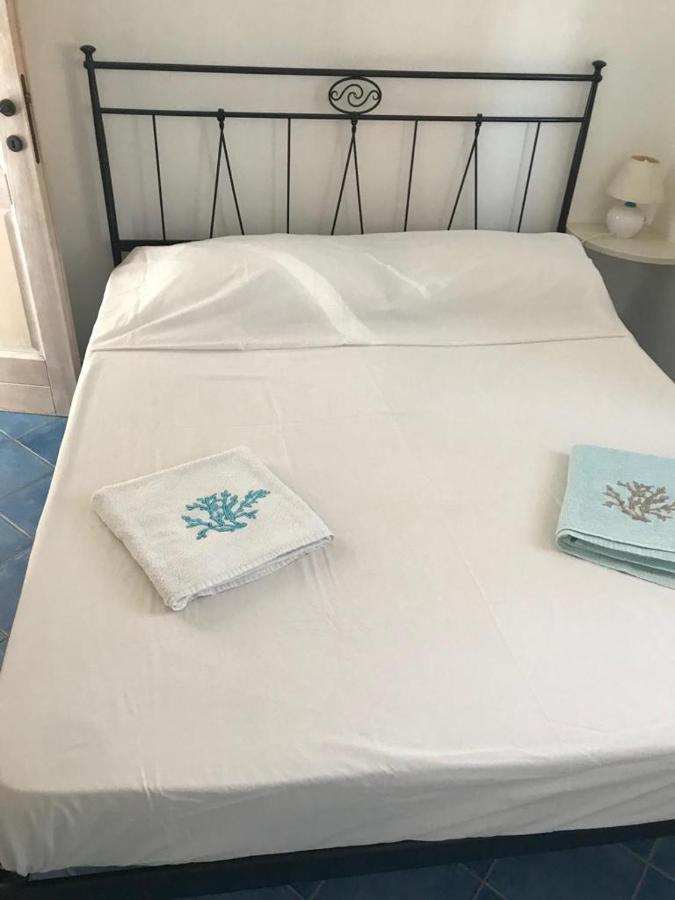 Tiffany Palau Bed & Breakfast Dış mekan fotoğraf