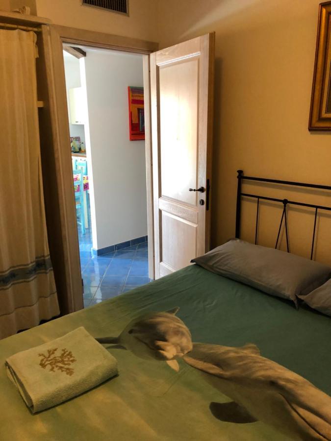 Tiffany Palau Bed & Breakfast Dış mekan fotoğraf