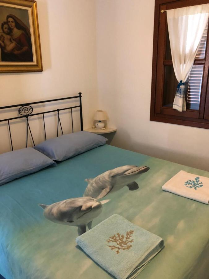 Tiffany Palau Bed & Breakfast Dış mekan fotoğraf